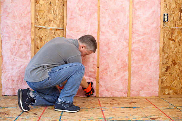 Best Insulation Installation Services in Bossier City, LA